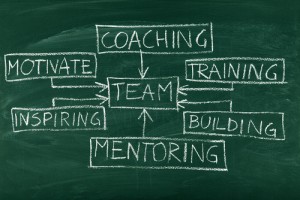 Teamwork durch Coachings lernen
