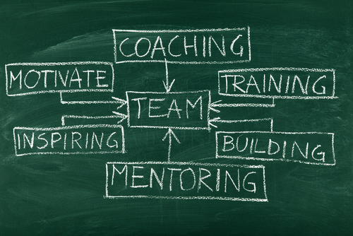 Teamwork durch Coachings lernen